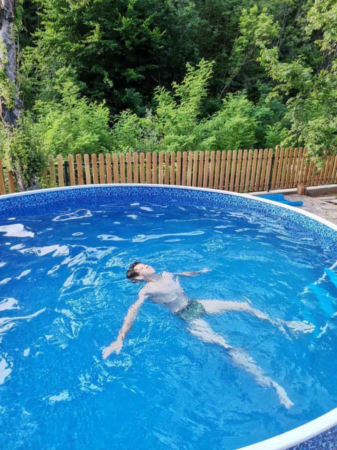 Vila Zubor Crni Vrh Екстериор снимка
